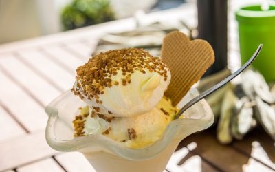 Gelato de Castanhas-do-Pará